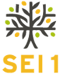 sei 1